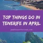 what to do in tenerife in april1 - What to do in Tenerife in April? 16 Fun Ideas!