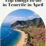 what to do in tenerife in april14 - What to do in Tenerife in April? 16 Fun Ideas!