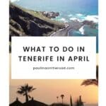 what to do in tenerife in april15 - What to do in Tenerife in April? 16 Fun Ideas!