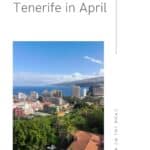 what to do in tenerife in april16 - What to do in Tenerife in April? 16 Fun Ideas!