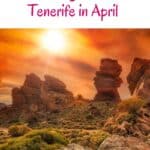 what to do in tenerife in april2 - What to do in Tenerife in April? 16 Fun Ideas!