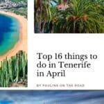 what to do in tenerife in april6 - What to do in Tenerife in April? 16 Fun Ideas!