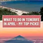 what to do in tenerife in april8 - What to do in Tenerife in April? 16 Fun Ideas!