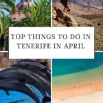 what to do in tenerife in april9 - What to do in Tenerife in April? 16 Fun Ideas!
