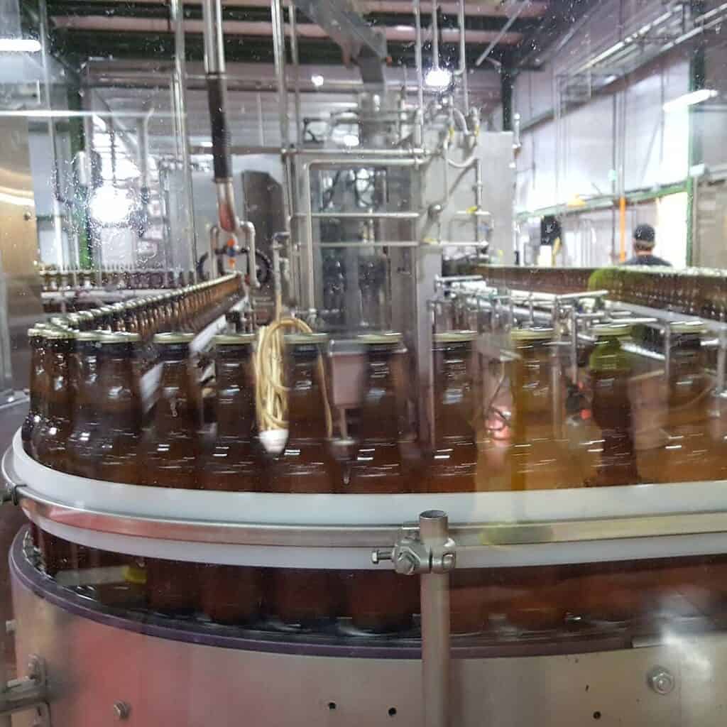 bottles of beer on a conveyor belt in a factory