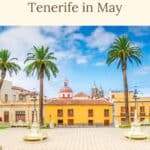 Pinterest pin about fun things to do in Tenerife, palm trees and fountains in La Cortava