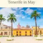 Pinterest pin about fun things to do in Tenerife, palm trees and fountains in La Cortava
