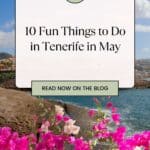 Pinterest pin about fun things to do in Tenerife, a sunny day at the beach with bright pink flowers blooming