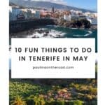 Pinterest pin about fun things to do in Tenerife, old historic town, beaches, and lots of greenery