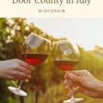 Close up of two people's hands toasting glasses of wine in front of a vineyard