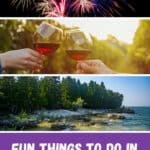 Large collection of brightly colored fireworks exploding in the dark night sky; Close up of two people's hands toasting glasses of wine in front of a vineyard; rocky coastline lined with trees