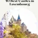 Pinterest pin about best castles in Luxembourg showing photo of vianden castle with purple and green foliage during a clear day