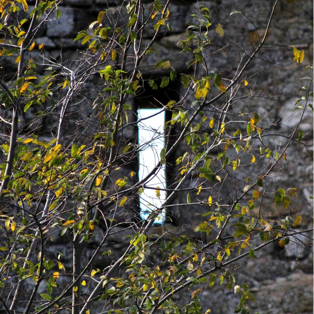 old castle window in forest in luxembourg