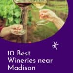 Close up of two people's hands toasting glass a red and white wine in front of a vineyard