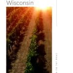 an aerial view of rows of vineyard during a sunset