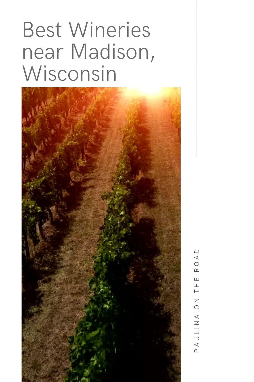 10 Best Wineries near Madison - Best Wineries Near Madison 16
