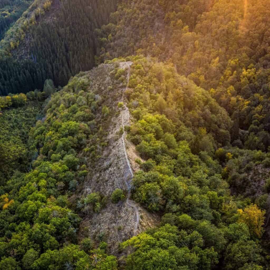 An aerial view of a winding hiking trail snaking through a dense, verdant forest in Éislek Pad Hoscheid, Luxembourg