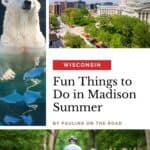a polar bear swimming on the pool with its head above the water; a view of the side of Madison Capitol Building, the square, streets, trees, and other buildings on a bright day; a dad and a son biking a long a bike trail with grass and trees