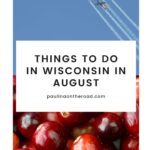 airplanes on the sky during an airshow whilst spraying out white vapor behind them; cranberries together