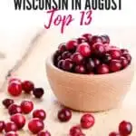 cranberries in a wooden bowl on a wooden surface