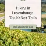 Pinterest pin about hiking in Luxembourg showing photo of Moselle Valley