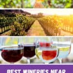 Close up shot of a bunch of grapes hanging from an overhead vine with someone holding a glass of wine up to them; an image of a vineyard with sun shining in the background; four glasses of wine lined up on a table, each glass is on slightly full and has a different wine