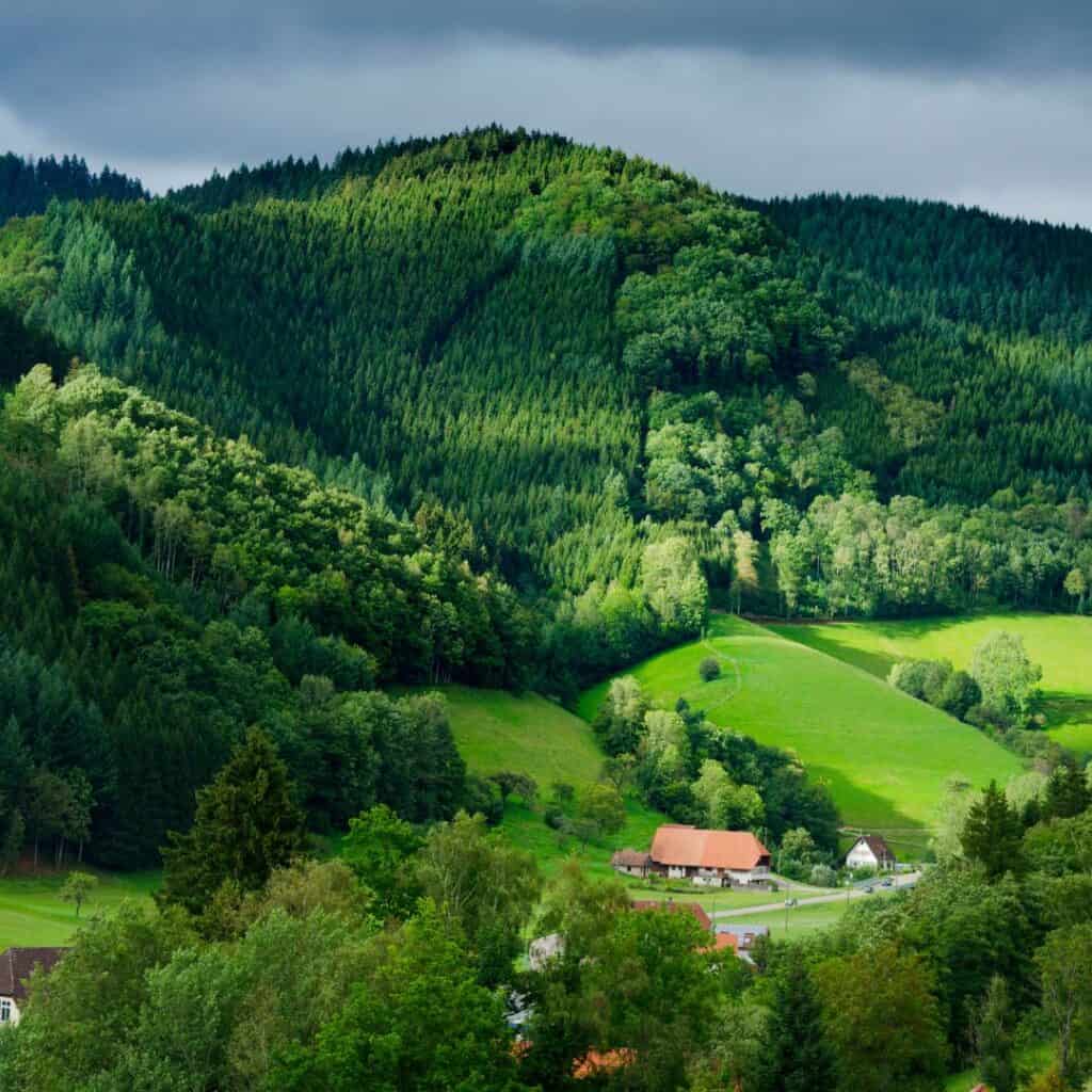 A stunning view of the Black Forest in Germany. Rolling green hills covered in lush forests stretch into the distance, with a traditional farmhouse nestled amongst the trees. The sky is overcast, adding a sense of mystery to the scene.