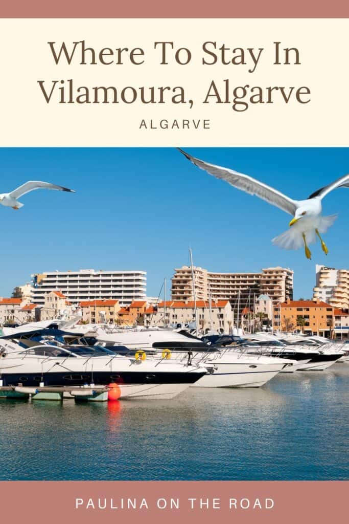 a pin with seagulls flying over the marina in Vilamoura. where to stay in vilamoura