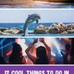 A collage of three images related to activities in Albufeira, Portugal: a sea cave, a dolphin leaping out of the water, and people dancing at a night club. The text on the image reads 