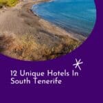 a pin with a beach in Tenerife. Hotels In South Tenerife