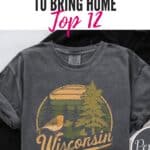 a wisconsin grayish tshirt with a tree and bird vintage design