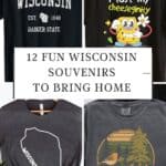 wisconsin badger state black t - shirt; a black shirt with a cheese cartoon and words that say "I lost my cheeseginity in Kenosha, Wisconsin"; a grey shirt with wisconsin state map; a wisconsin grey tshirt with a tree and bird vintage design