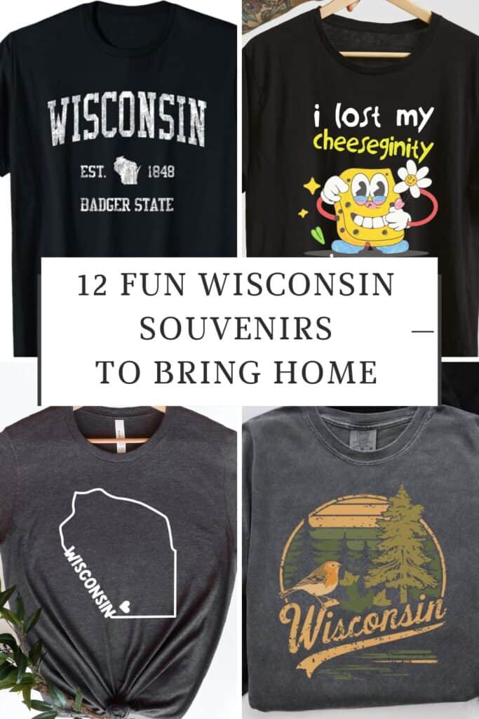 wisconsin badger state black t - shirt; a black shirt with a cheese cartoon and words that say "I lost my cheeseginity in Kenosha, Wisconsin"; 