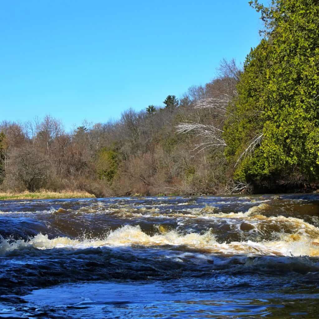 a river with rapids in the middle of a wooded area