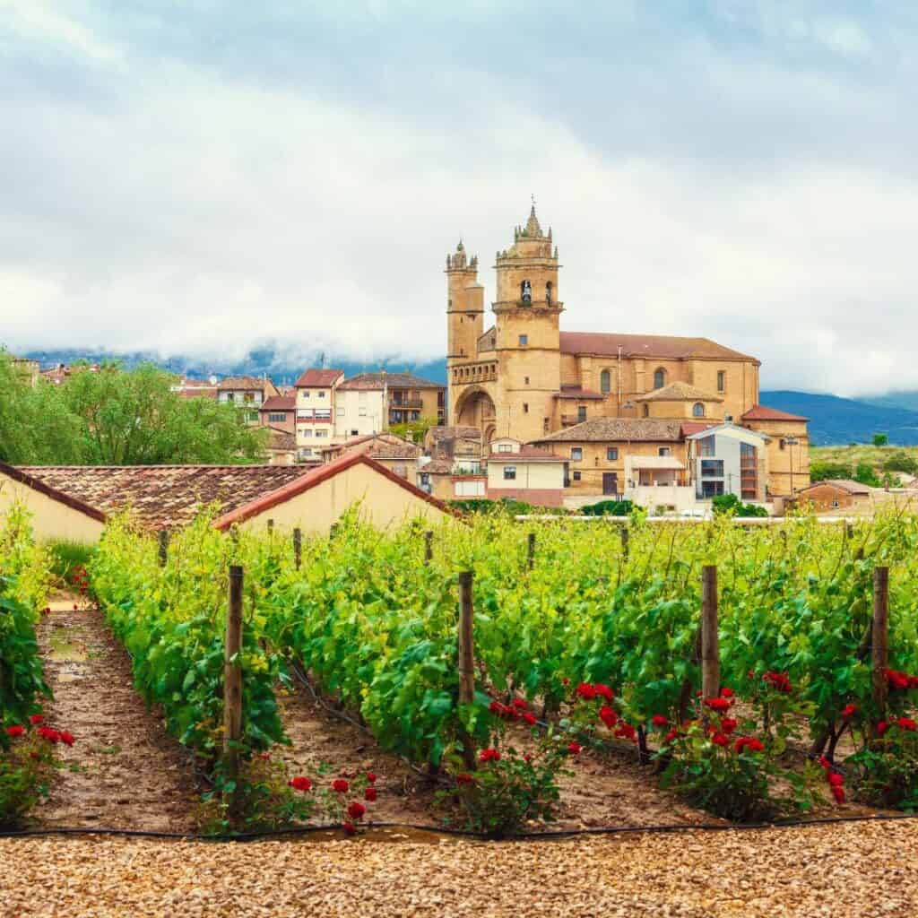 A vineyard in the La Rioja wine region in Spain, with rows of grapevines and a picturesque town with a church in the background.