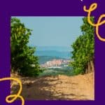 A scenic vineyard landscape in Northern Spain with a distant view of a town nestled among hills. The text 