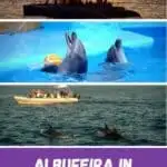 dolphins jumping out of the water in front of a boat; two dolphins playing with a ball in a pool