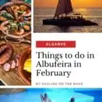 two dolphins playing with a ball in a pool; seafood stew in a copper pan on a wooden cutting board ; a catamaran sailing in the ocean at sunset