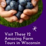 a person holding a handful of blueberries in their hands