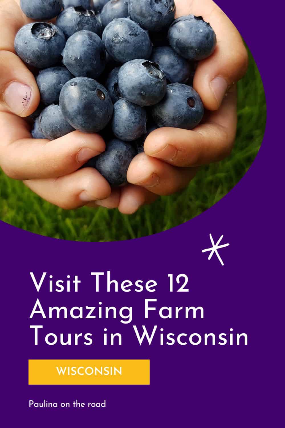 a person holding a handful of blueberries in their hands