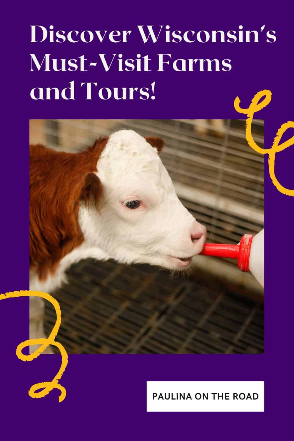 a small calf is drinking from a bottle