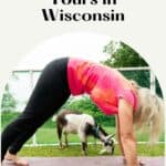 A person doing a yoga pose with a goat in the background.