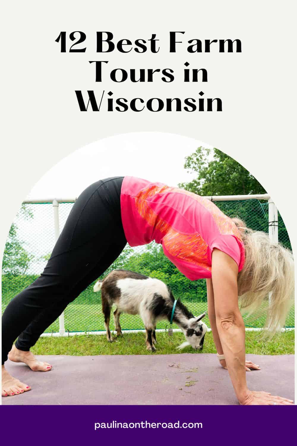 A person doing a yoga pose with a goat in the background.