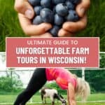 a person holding a handful of blueberries in their hands; A person doing a yoga pose with a goat in the background.