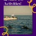 dolphins jumping out of the water in front of a boat