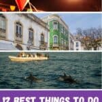 colorful buntings hanging from a string at night; people walking through large open stone square next to old white building with awnings and tall green tiled historic building; dolphins jumping out of the water in front of a boat