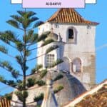 a roof of an old church with a tree in front of it