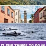 a street with colorful buildings with a clock tower in the middle of it; a group of dolphins swimming in the ocean