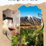 person pouring red wine on a wine glass with a blur image of people carrying wine glasses with wine; an image of a mountain with snow on top with the blue sky at the back; View of path leading through a dense area of green trees and foliage