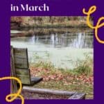 an empty wooden bench sitting next to a pond
